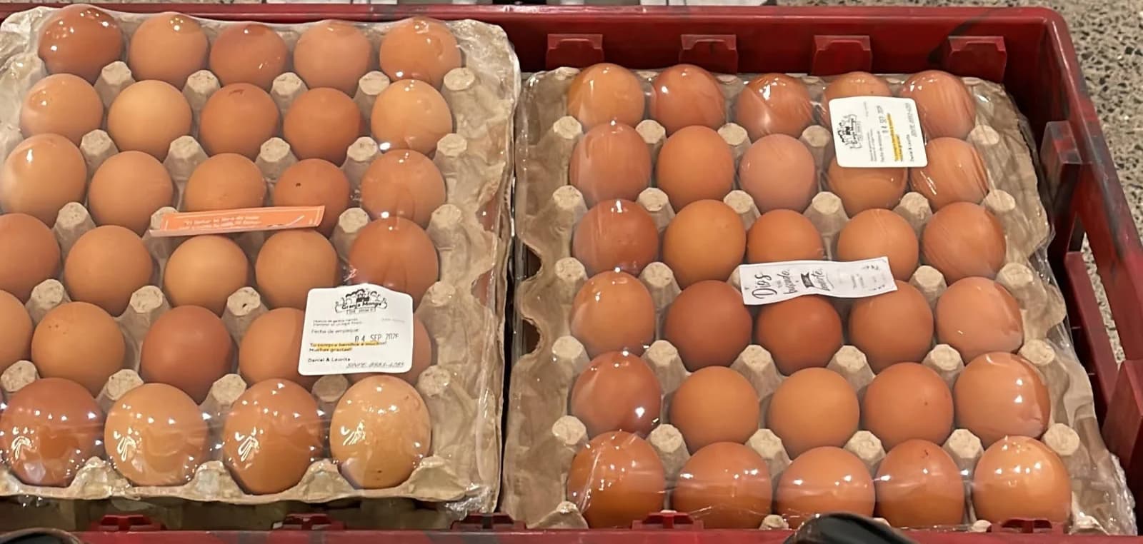 Huevos frescos Granja Monge