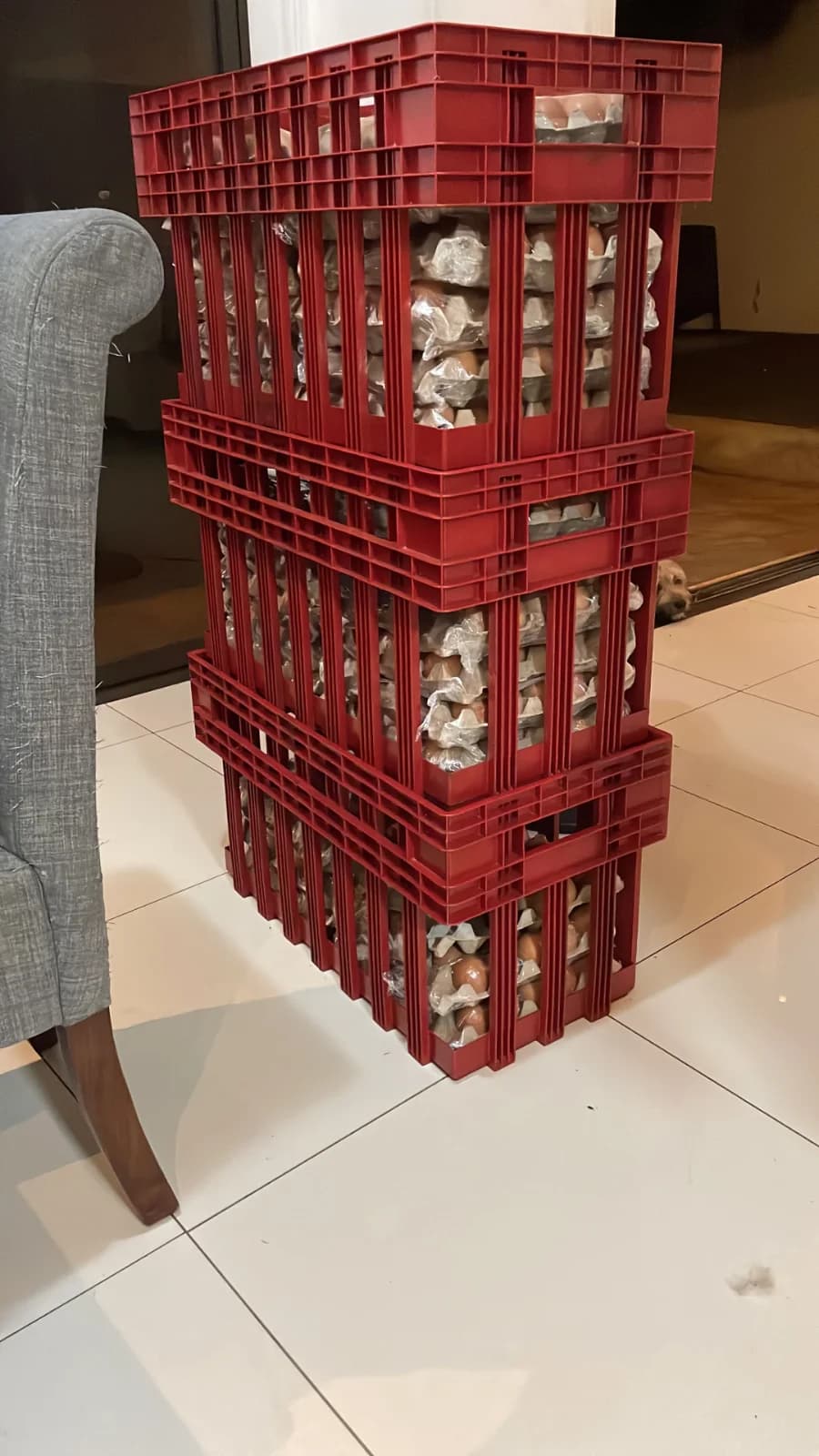 Cajas de plastico transpotadoras de huevos